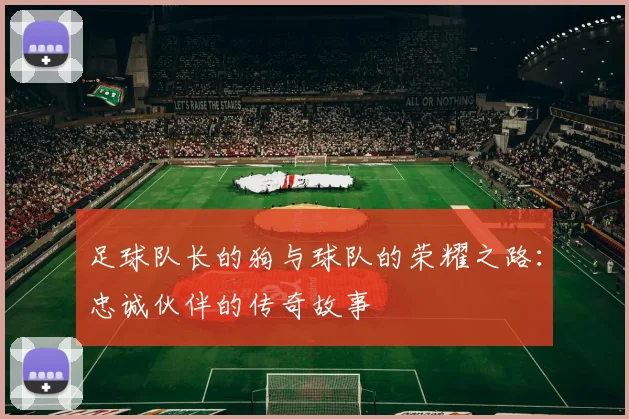 足球队长的狗与球队的荣耀之路：忠诚伙伴的传奇故事