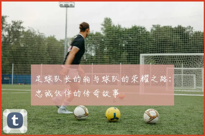 足球队长的狗与球队的荣耀之路：忠诚伙伴的传奇故事