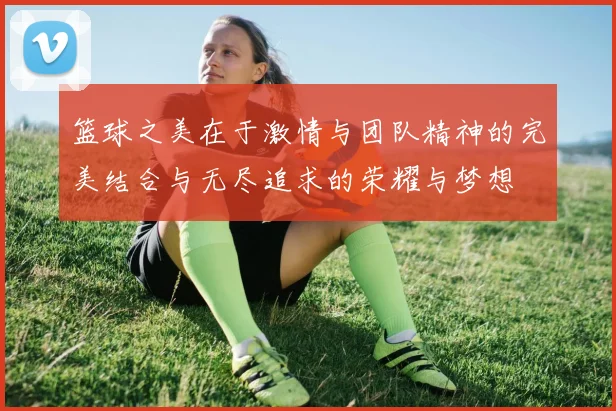 篮球之美在于激情与团队精神的完美结合与无尽追求的荣耀与梦想