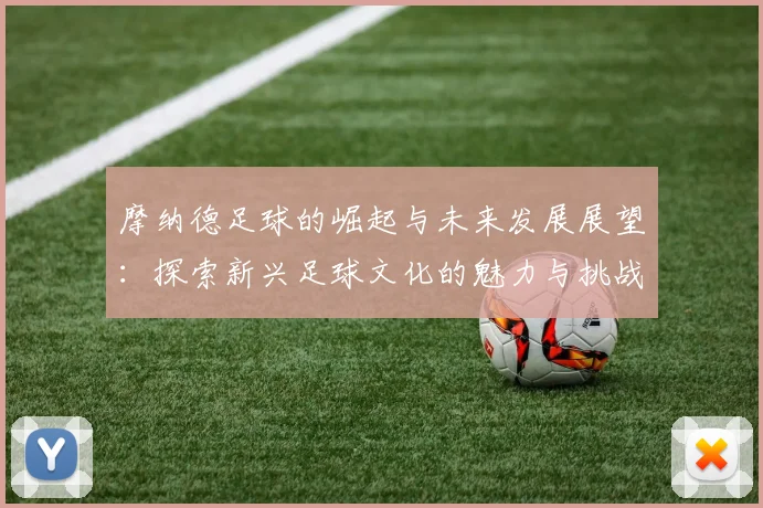 摩纳德足球的崛起与未来发展展望：探索新兴足球文化的魅力与挑战