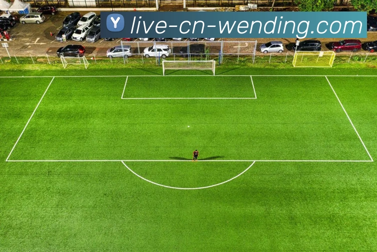 问鼎娱乐下载APP 封面图